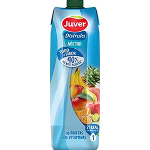 Nectar JUVER Disfruta 10Fr+10Vit 1lt